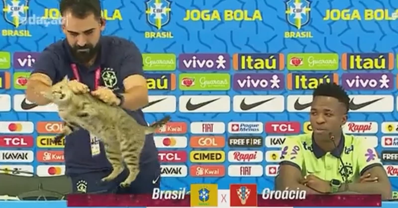 لن تصدق ماذا حدث في المؤتمر الصحفي للاعب البرازيل فينيسيوس