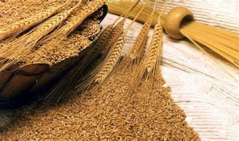 تحذير عاجل من مادة مسرطنة في مواد غذائية من مشتقات القمح في السعودية
